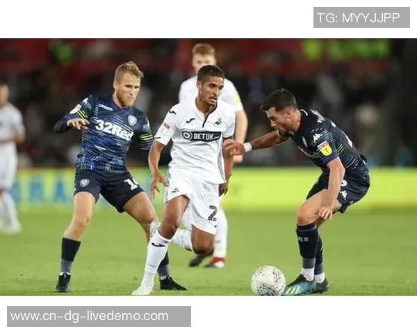 布莱克本足球俱乐部的辉煌历史与未来发展展望