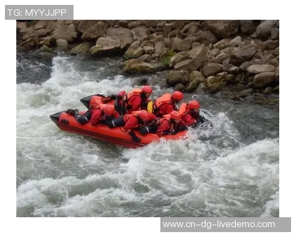 大连足球赛事盛况空前球迷热情高涨助力球队奋勇争先